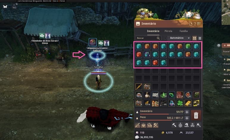 Personagem diante da NPC Dallisain com as Pedras da Luz destacadas no inventário